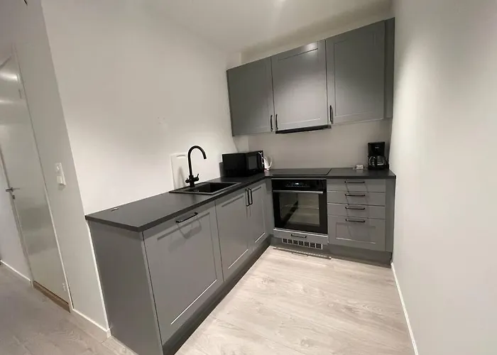 I Sentrum Sv31 M Apartament *